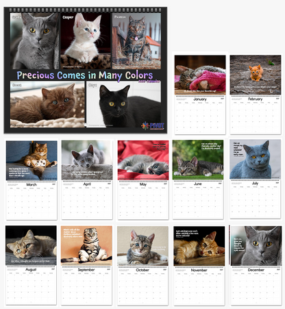 'Precious Comes in Many Colors' 2027 Calendar